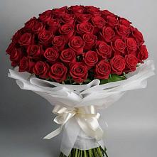 Букет 101 Красная роза Блэк Мэджик в Култаево