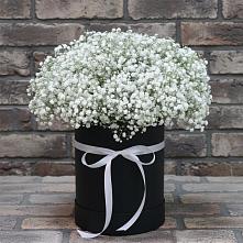 Цветочная композиция из Гипсофила в шляпной коробке в Култаево